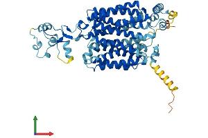 Protein Structure (PS) image for Solute Carrier Family 22 (Organic Cation Transporter), Member 1 (SLC22A1) (AA 1-556) protein (His tag) (ABIN7562230)