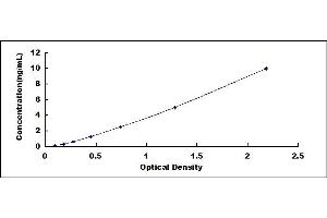 Typical standard curve (IgM ELISA 试剂盒)