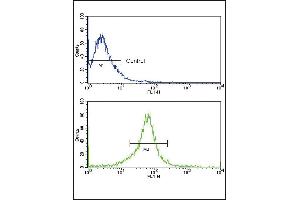 Flow cytometric analysis of MCF-7 cells using P14 Antibody (N-term) (bottom histogram) compared to a negative control (top histogram). (MMP14 抗体  (N-Term))