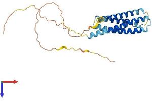 MS4A15 Protein (AA 1-240) (His tag)