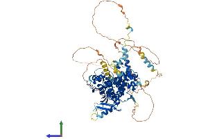 Protein Structure (PS) image for rho GTPase Activating Protein 28 (ARHGAP28) (AA 1-729) protein (His tag) (ABIN7558780)
