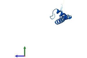Protein Structure (PS) image for Cytochrome C Oxidase Subunit VIc (COX6C) (AA 1-75) protein (Fc Tag) (ABIN7546786)
