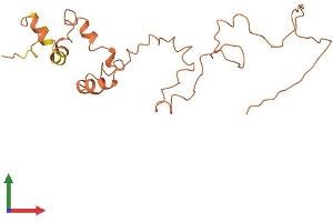 AlphaFold protein structure predicition of Human Recombinant KRTAP4-9 Protein, UniprotID Q9BYQ8