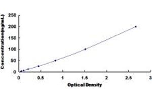 Typical standard curve (Phospholipase D ELISA 试剂盒)