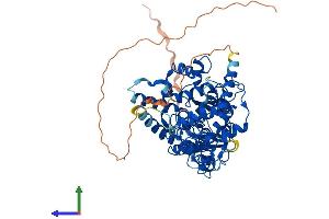 Protein Structure (PS) image for Cryptochrome 2 (Photolyase-Like) (CRY2) (AA 1-593) protein (His tag) (ABIN7553589)