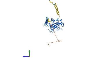 Protein Structure (PS) image for GLI Pathogenesis-Related 1 Like 2 (GLIPR1L2) (AA 1-332) protein (His tag) (ABIN7560508)