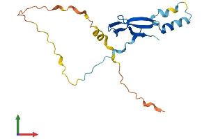 AlphaFold protein structure predicition of Mouse Recombinant Litaf Protein, UniprotID Q9JLJ0