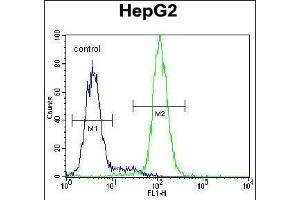 CST9 Antibody (C-term) (ABIN655011 and ABIN2844645) flow cytometric analysis of HepG2 cells (right histogram) compared to a negative control cell (left histogram). (CST9 抗体  (C-Term))