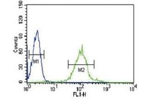 IRF8 antibody flow cytometric analysis of HL-60 cells (green) compared to a negative control (blue). (IRF8 抗体  (AA 384-409))