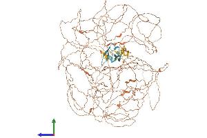 Protein Structure (PS) image for Periaxin (PRX) (AA 1-1391) protein (His tag) (ABIN7562482)