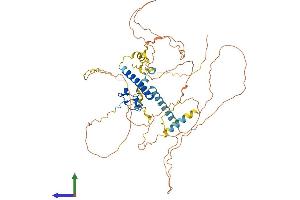 AlphaFold protein structure predicition of Mouse Recombinant Dmrt2 Protein, UniprotID Q8BG36