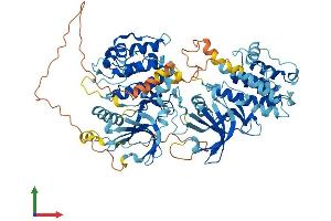 Protein Structure (PS) image for Ribosomal Protein S6 Kinase, 90kDa, Polypeptide 3 (RPS6KA3) (AA 1-740) protein (His tag) (ABIN7554394)