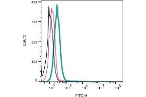 Cell surface detection of Robo1 by direct flow cytometry in live intact human  monocytic leukemia cell line: + Rabbit IgG Isotype Control-FITC (ABIN7582044).