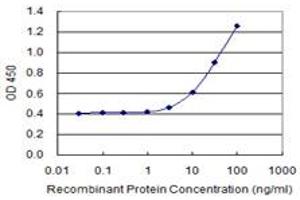 Detection limit for recombinant GST tagged TSKS is 1 ng/ml as a capture antibody. (TSKS 抗体  (AA 471-560))