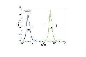CC85C Antibody (N-term) (ABIN654469 and ABIN2844203) flow cytometric analysis of 293 cells (right histogram) compared to a negative control cell (left histogram). (CCDC85C 抗体  (N-Term))