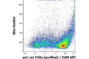 Flow cytometry surface staining pattern of rat thymocyte suspension stained using anti-rat CD8a (OX-8) purified antibody (concentration in sample 0,32 μg/mL) GAM APC. (CD8 alpha 抗体)
