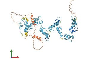 AlphaFold protein structure predicition of Human Recombinant ZNF140 Protein, UniprotID P52738