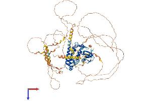 RUSC1 Protein (AA 1-893) (His tag)
