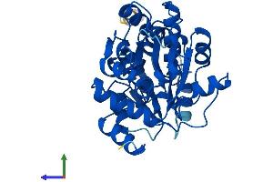 Protein Structure (PS) image for Serine Dehydratase-Like (SDSL) (AA 1-329) protein (His tag) (ABIN7559690)