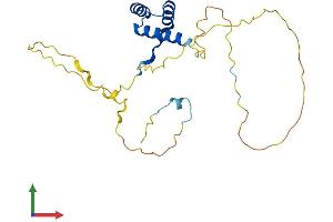 Protein Structure (PS) image for NK2 Homeobox 8 (NKX2-8) (AA 1-239) protein (His tag) (ABIN7549766)