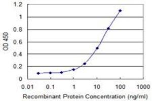 Detection limit for recombinant GST tagged PLDN is 0. (Pallidin 抗体  (AA 1-172))