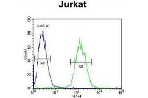 Flow Cytometry (FACS) image for anti-V-Ets erythroblastosis Virus E26 Oncogene Homolog 1 (Avian) (ETS1) (AA 46-74), (N-Term) antibody (ABIN952130)