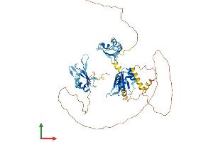 Protein Structure (PS) image for CUGBP, Elav-Like Family Member 2 (CELF2) (AA 1-508) protein (His tag) (ABIN7565255)