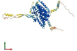 Protein Structure (PS) image for Solute Carrier Family 1 (High Affinity Aspartate/glutamate Transporter), Member 6 (SLC1A6) (AA 1-564) protein (His tag) (ABIN7547268)