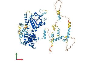 Protein Structure (PS) image for Ecdysoneless Homolog (ECD) (AA 1-641) protein (His tag) (ABIN7564942)
