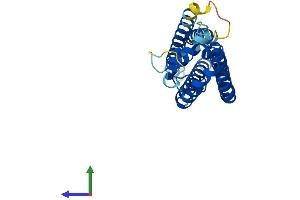 Protein Structure (PS) image for Tetraspanin 6 (TSPAN6) (AA 1-245) protein (His tag) (ABIN7544753)