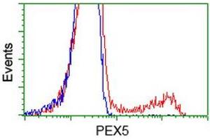Image no. 3 for anti-Peroxisomal Biogenesis Factor 5 (PEX5) antibody (ABIN1500156) (PEX5 抗体)