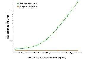 ELISA image for anti-Aldehyde Dehydrogenase 1 Family, Member L1 (ALDH1L1) antibody (ABIN2715906) (ALDH1L1 抗体)