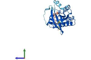 Protein Structure (PS) image for RAB39B, Member RAS Oncogene Family (RAB39B) (AA 1-213) protein (His tag) (ABIN7558625)
