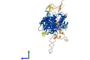 Protein Structure (PS) image for Cytidine and DCMP Deaminase Domain Containing 1 (CDADC1) (AA 1-514) protein (His tag) (ABIN7553110)