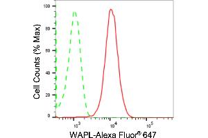 Flow cytometric analysis of WAPL expression in HepG2 cells using WAPL antibody (ABIN7800865), 1:2,000). (Recombinant WAPAL 抗体)