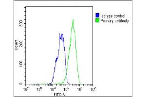 Overlay histogram showing HepG2 cells stained with (ABIN387939 and ABIN2844487)(green line). (RORA 抗体  (AA 193-222))