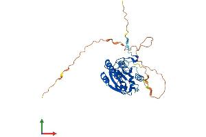 Protein Structure (PS) image for BRISC and BRCA1 A Complex Member 1 (BABAM1) (AA 1-333) protein (His tag) (ABIN7563723)