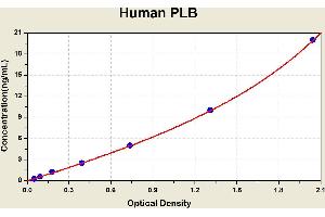 Diagramm of the ELISA kit to detect Human PLBwith the optical density on the x-axis and the concentration on the y-axis. (Phospholipase B ELISA 试剂盒)