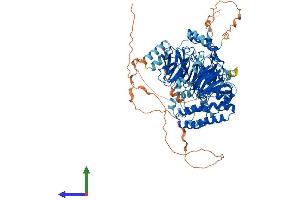 AlphaFold protein structure predicition of Human Recombinant TAF5 Protein, UniprotID Q15542