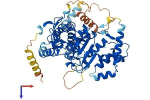 AlphaFold protein structure predicition of Mouse Recombinant Abhd16b Protein, UniprotID Q80YU0