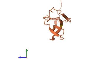 AlphaFold protein structure predicition of Human Recombinant DSCR10 Protein, UniprotID P59022