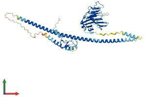 Protein Structure (PS) image for Tripartite Motif Family-Like 1 (TRIML1) (AA 1-470) protein (His tag) (ABIN7558939)