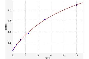 Typical standard curve (SLC6A2 ELISA 试剂盒)