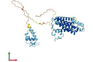 Protein Structure (PS) image for Sphingomyelin Synthase 1 (SGMS1) (AA 1-419) protein (His tag) (ABIN7564736)