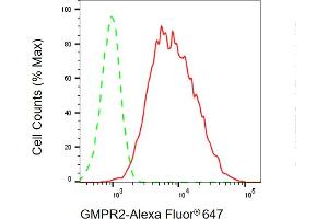 Flow cytometric analysis of GMPR2 expression in HT- cells using GMPR2 antibody (ABIN7798823), 1:2,000). (GMPR2 抗体)