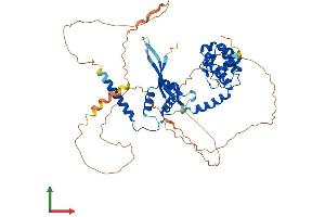 AlphaFold protein structure predicition of Mouse Recombinant Nelfa Protein, UniprotID Q8BG30