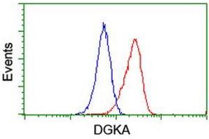 Flow cytometric Analysis of Jurkat cells, using anti-DGKA antibody (ABIN2455395), (Red), compared to a nonspecific negative control antibody, (Blue). (DGKA 抗体)