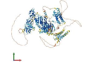 AlphaFold protein structure predicition of Human Recombinant DGKH Protein, UniprotID Q86XP1