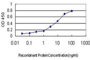Detection limit for recombinant GST tagged MAGEA8 is approximately 0. (MAGEA8 抗体  (AA 1-318))