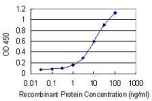 Detection limit for recombinant GST tagged HOOK1 is 0. (HOOK1 抗体  (AA 632-728))